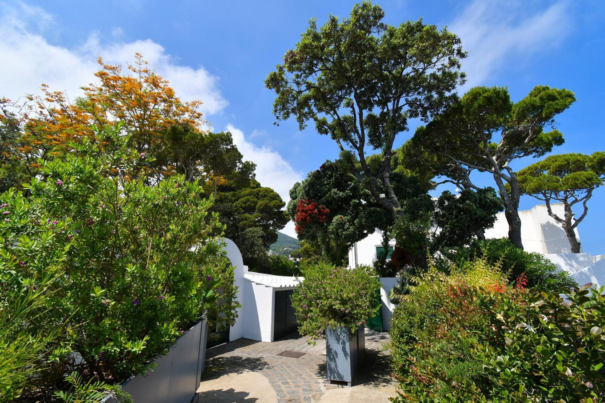 B&B Villa Lentisco Ischia Luaran gambar